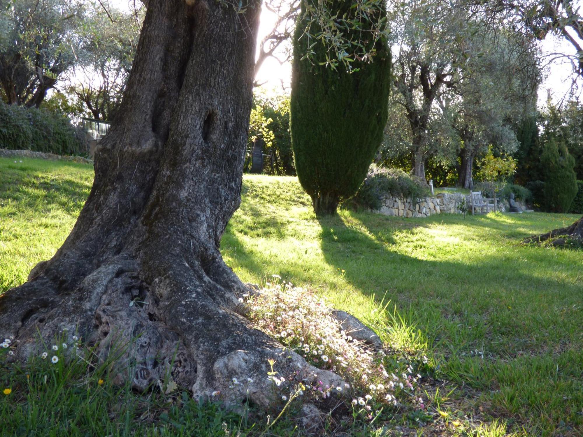 Apartment Cezanne With Heated Pool And Private Garden Chateauneuf-Grasse Exteriér fotografie